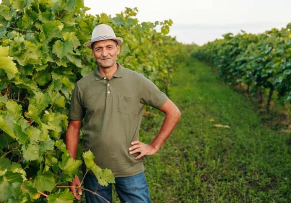 Farmer-in-vineyard