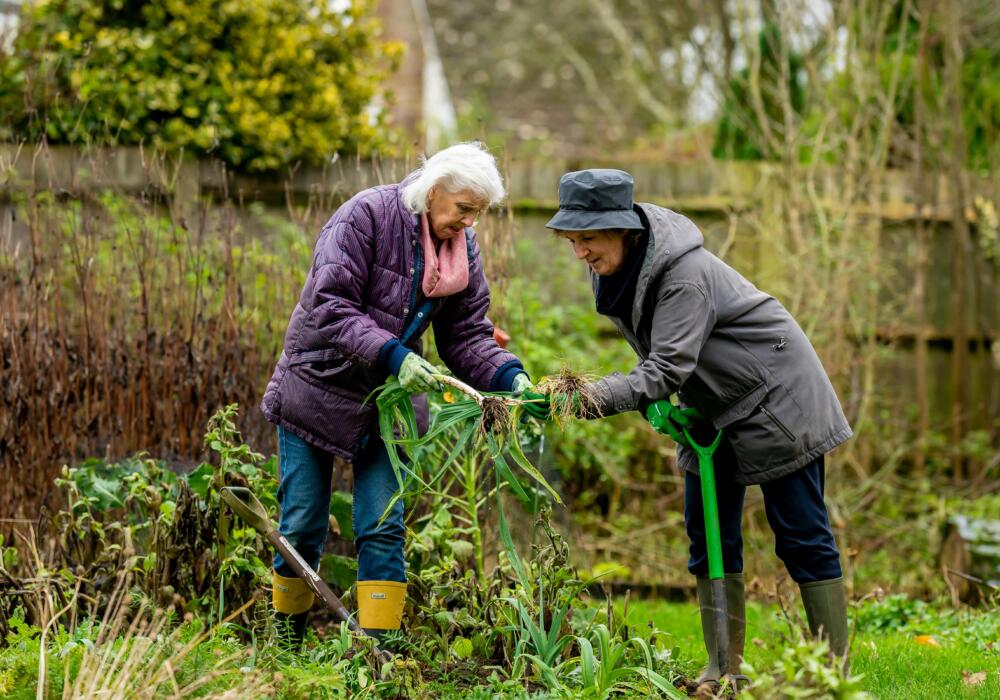 Gardening