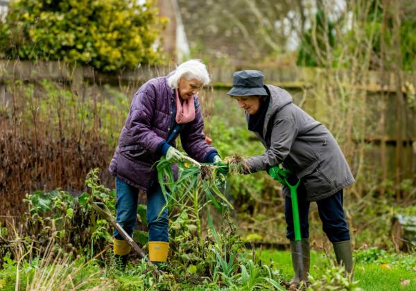 Gardening